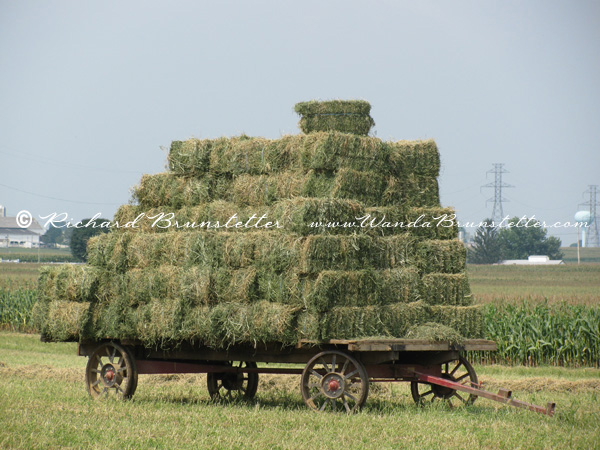 Load of Hay