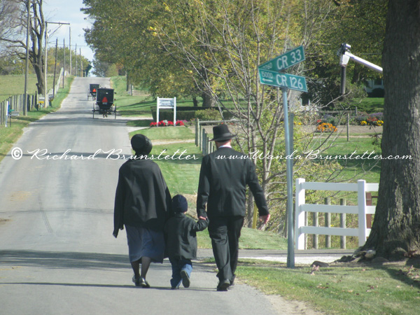 Walking Home from the Wedding