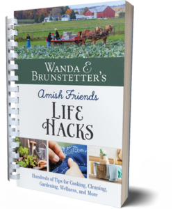 Wanda E. Brunstetter's Amish Friends Life Hacks