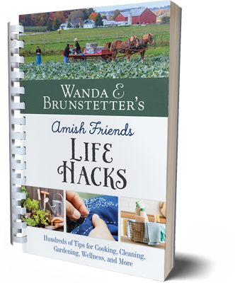 Wanda E. Brunstetter's Amish Friends Life Hacks