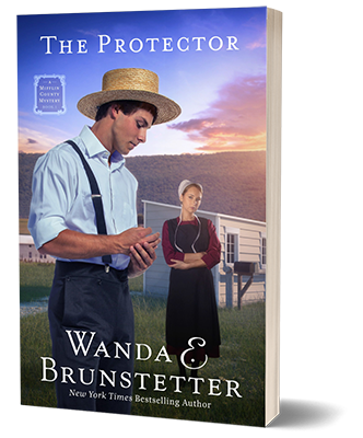 The Protector by Wanda Brunstetter